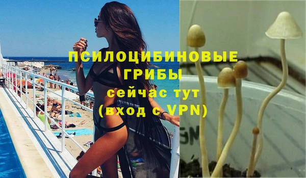 твердый Надым