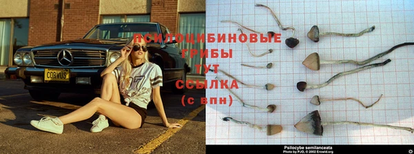 шишки Иннополис