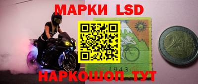 кокс Кингисепп
