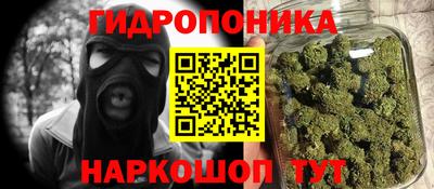 кокс Кингисепп